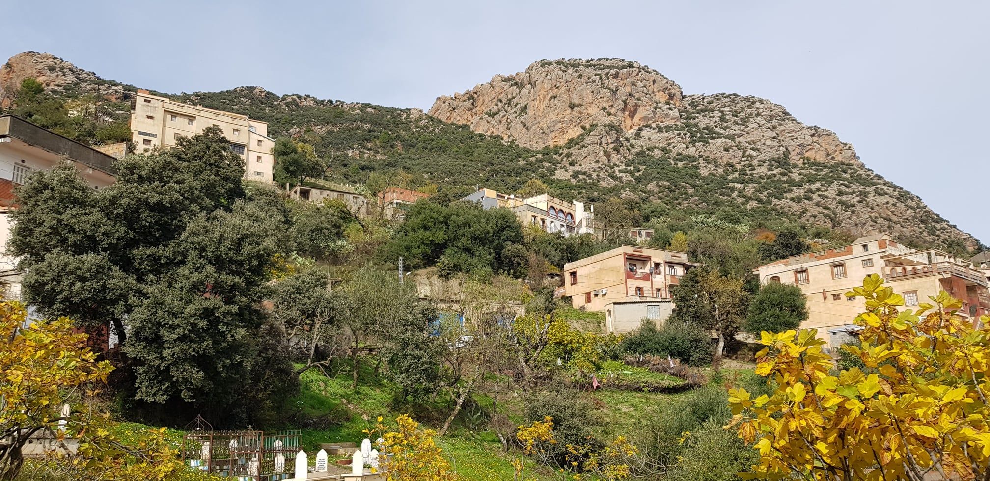 Odoo- Echantillon n° 3 pour trois colonnes