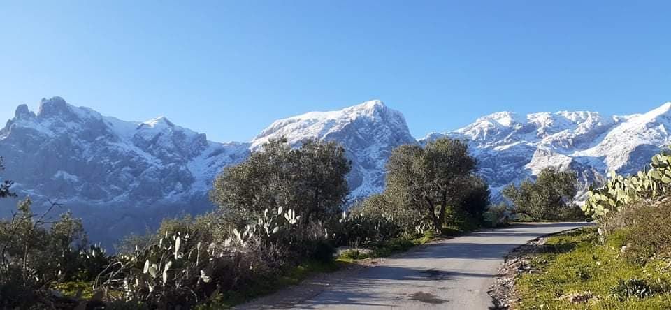 Image de diapositive