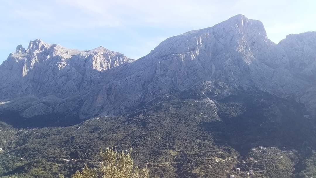 Image de diapositive