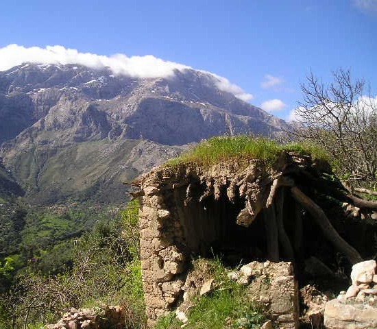 Odoo - Echantillon n°1 pour trois colonnes 