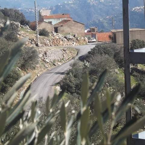 Image de diapositive