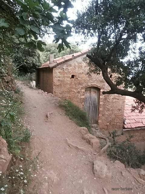 Image de diapositive