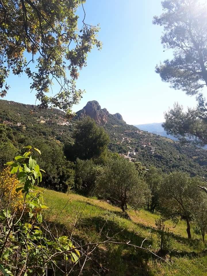 Image de diapositive